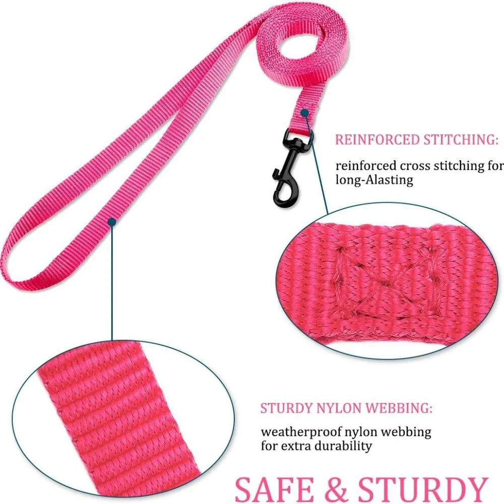 Kitten harnesses and leash set